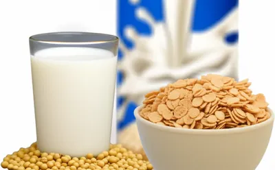 Illustration soymilk - Image 1