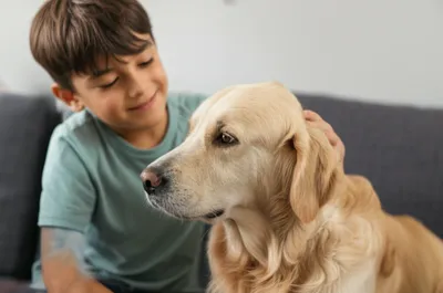 Illustration pat - Image 1