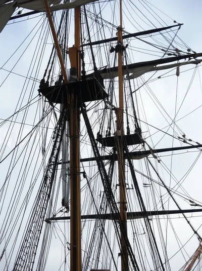 Illustration rigging - Image 1