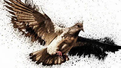 Illustration fouls - Image 1