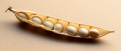 Illustration pulse - Image 1