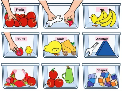 Illustration categorizing