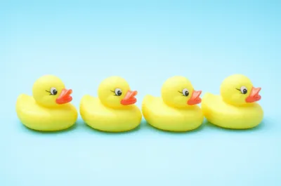 Illustration quads - Image 1