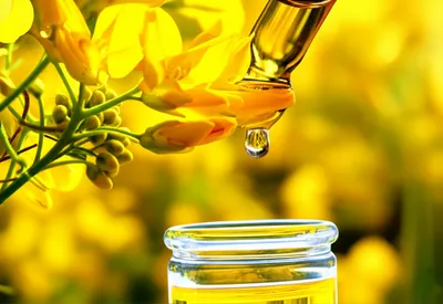 Illustration weld - Image 1