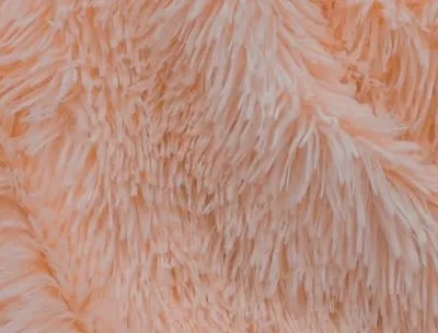 Illustration downy - Image 2