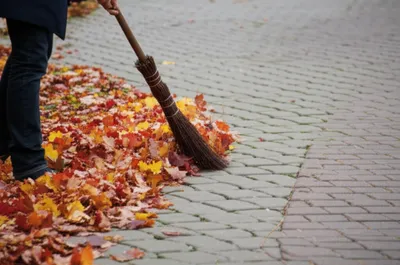 Illustration swept - Image 1