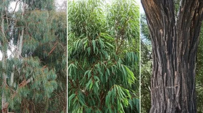 Illustration box - Image 1