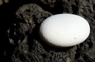 Illustration contrast - Image 1