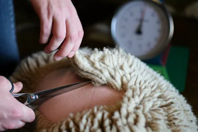 Illustration clack - Image 1