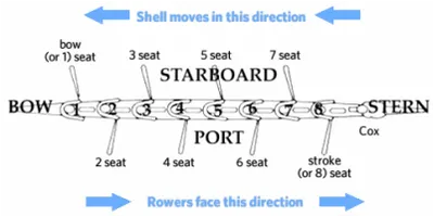 Illustration stroke - Image 2