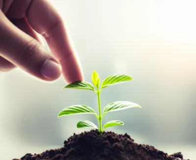 Illustration do - Image 1