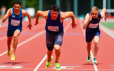 Illustration contender