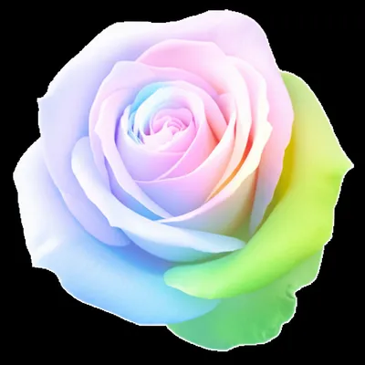 Illustration tints - Image 1