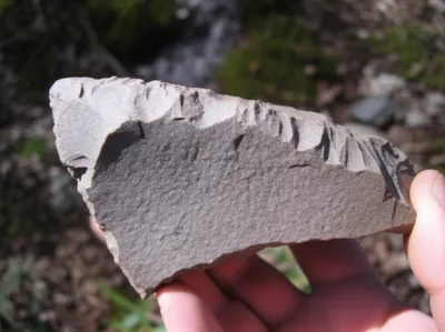 Illustration choppers - Image 1