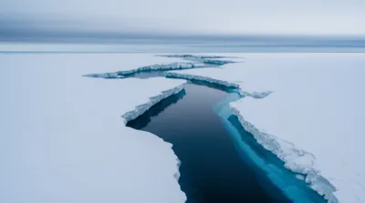 Illustration leads - Image 1