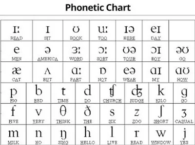 Illustration phonetician - Image 2