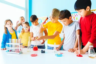 Illustration schooling - Image 1