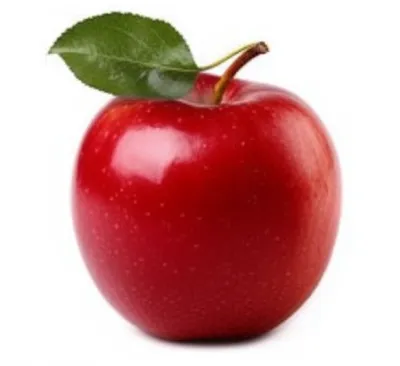 Illustration canonical - Image 1