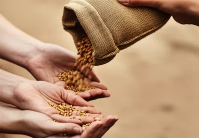 Illustration deals - Image 1