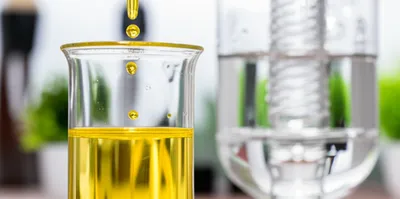 Illustration essences - Image 1