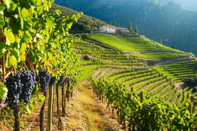 Illustration mountains - Image 1