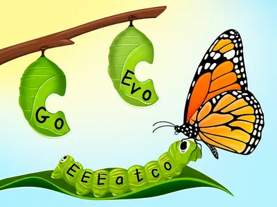 Illustration modifications - Image 1