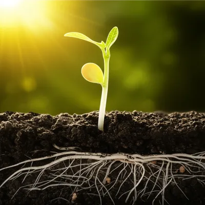 Illustration engendered - Image 1