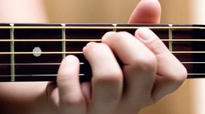 Illustration fret - Image 1