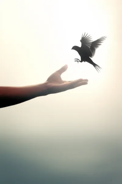 Illustration returns - Image 1