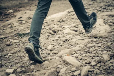 Illustration falter - Image 1