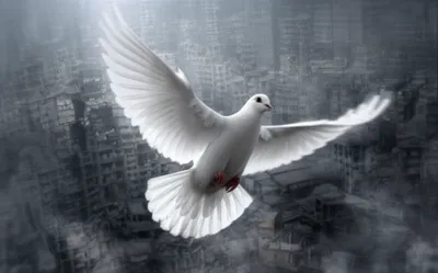 Illustration unspotted - Image 1