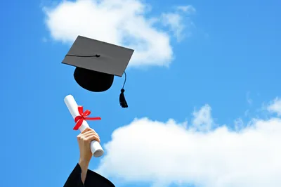 Illustration did - Image 1