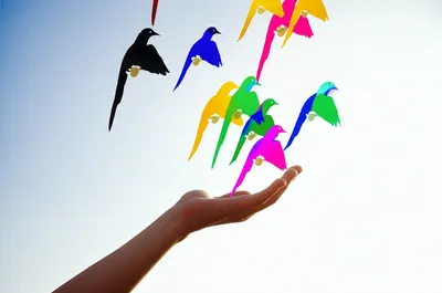 Hình ảnh minh họa allows - Ảnh 1