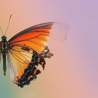 Illustration moments - Image 1