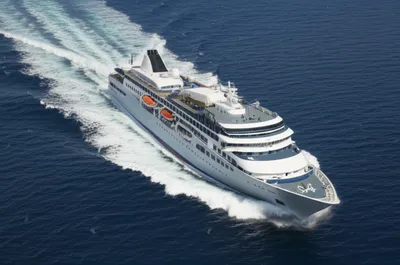 Illustration greyhounds - Image 1