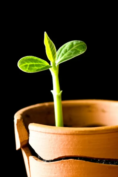 Illustration push - Image 1