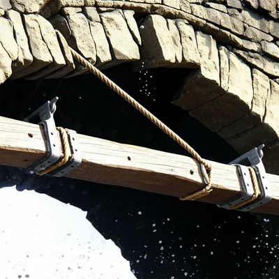 Illustration braced - Image 1