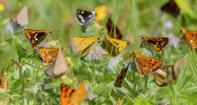 Illustration angles - Image 1