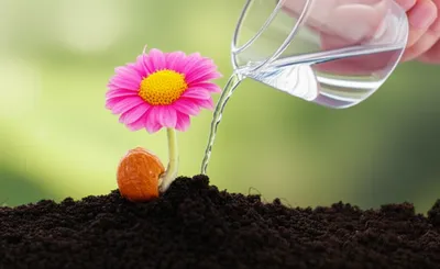 Illustration meant - Image 1