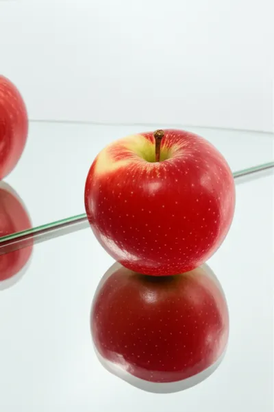 Illustration representative - Image 1