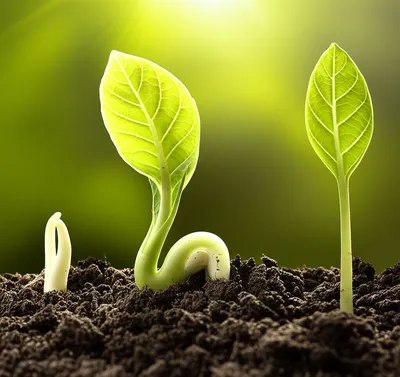 Illustration informs - Image 1