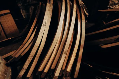 Illustration pack - Image 1