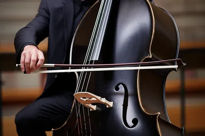 Illustration contrabass - Image 1