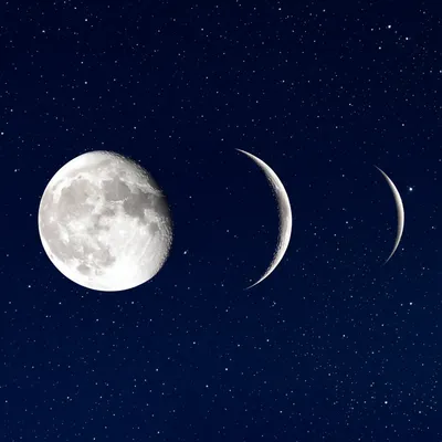 Illustration wane - Image 1