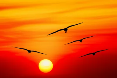 Illustration backwards - Image 1