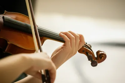 Hình ảnh minh họa string - Ảnh 1