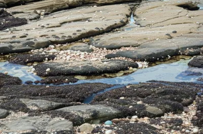 Illustration waterline - Image 1