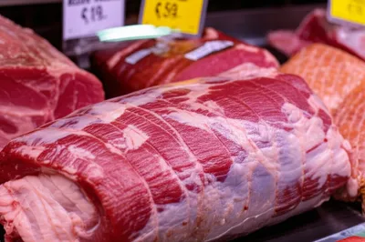 Illustration deer - Image 1