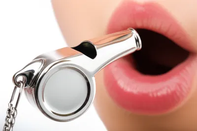 Illustration whistles