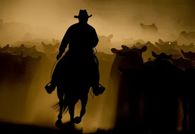 Illustration rustler - Image 1